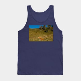 Italian Alpine Cows Tank Top